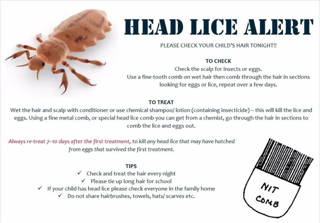View Email Head Lice